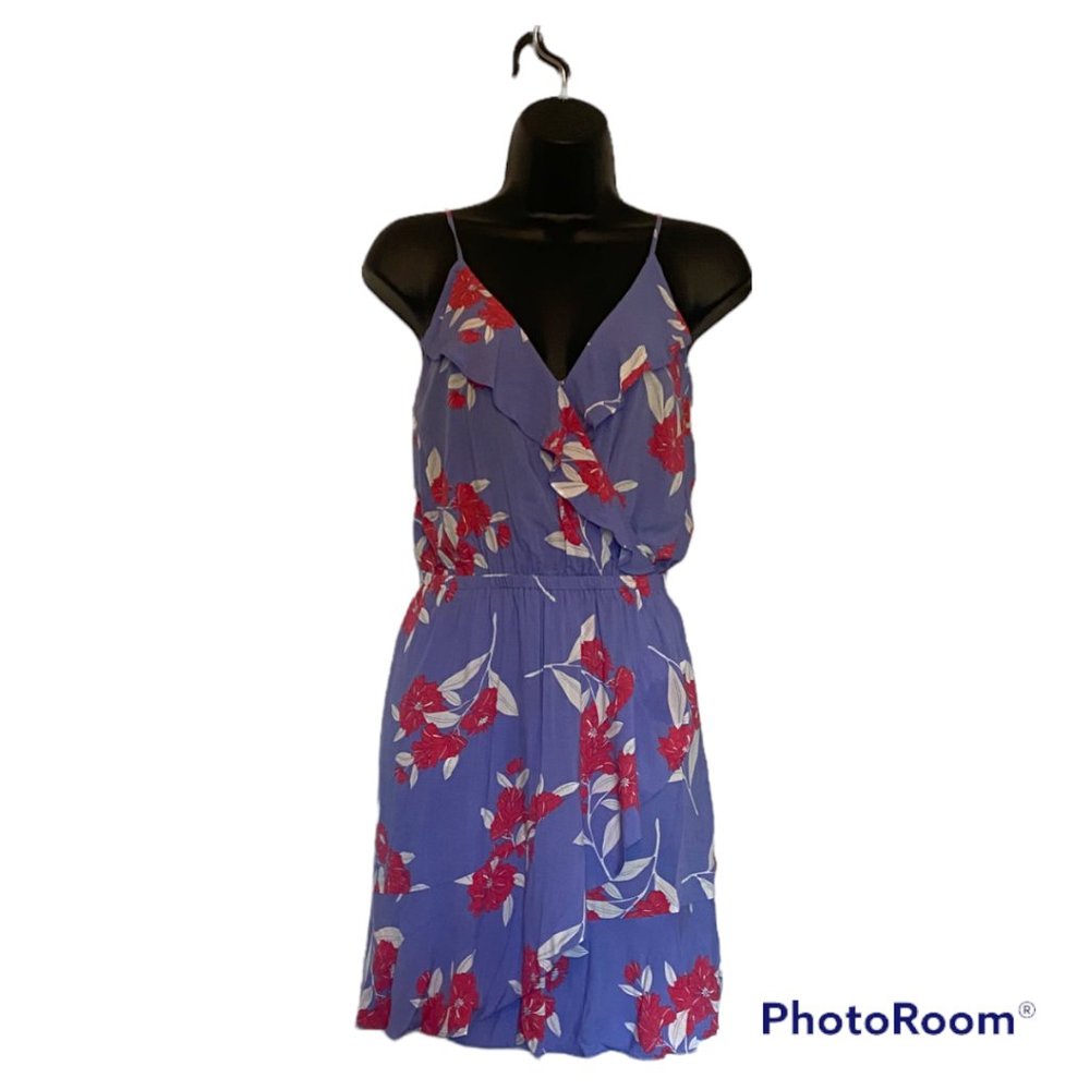 NWT EXPRESS Dress